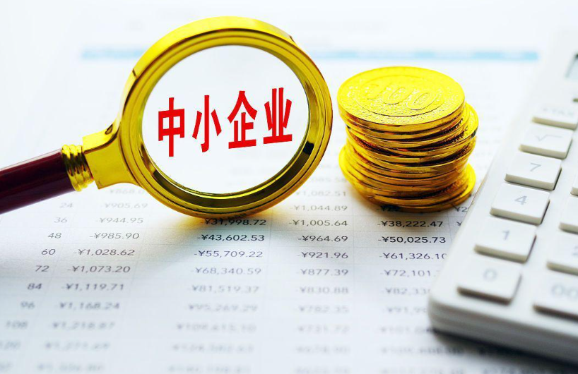 中山市海龙制衣有限公司针织梭织服装加工工艺及批量成衣生产方案